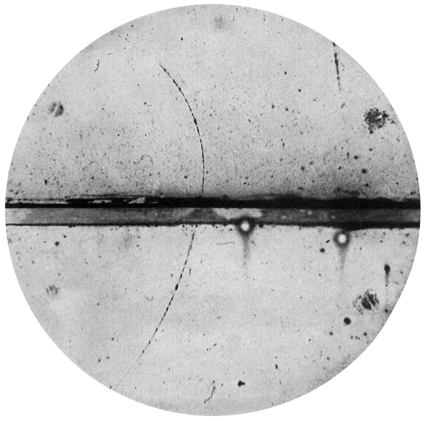 The first positron recognized as one, photographed by Carl Anderson in 1932, as Paul Dirac’s theory had predicted