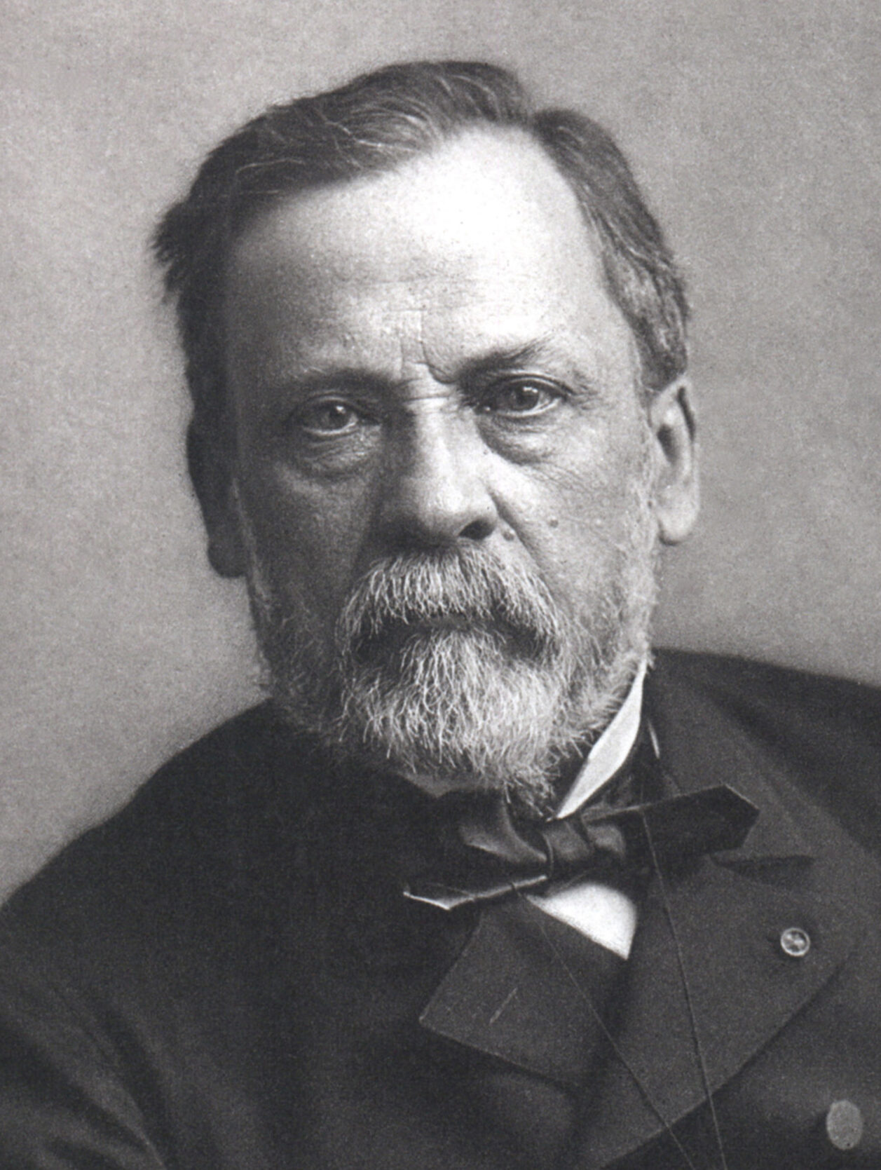 Portrait of Louis Pasteur